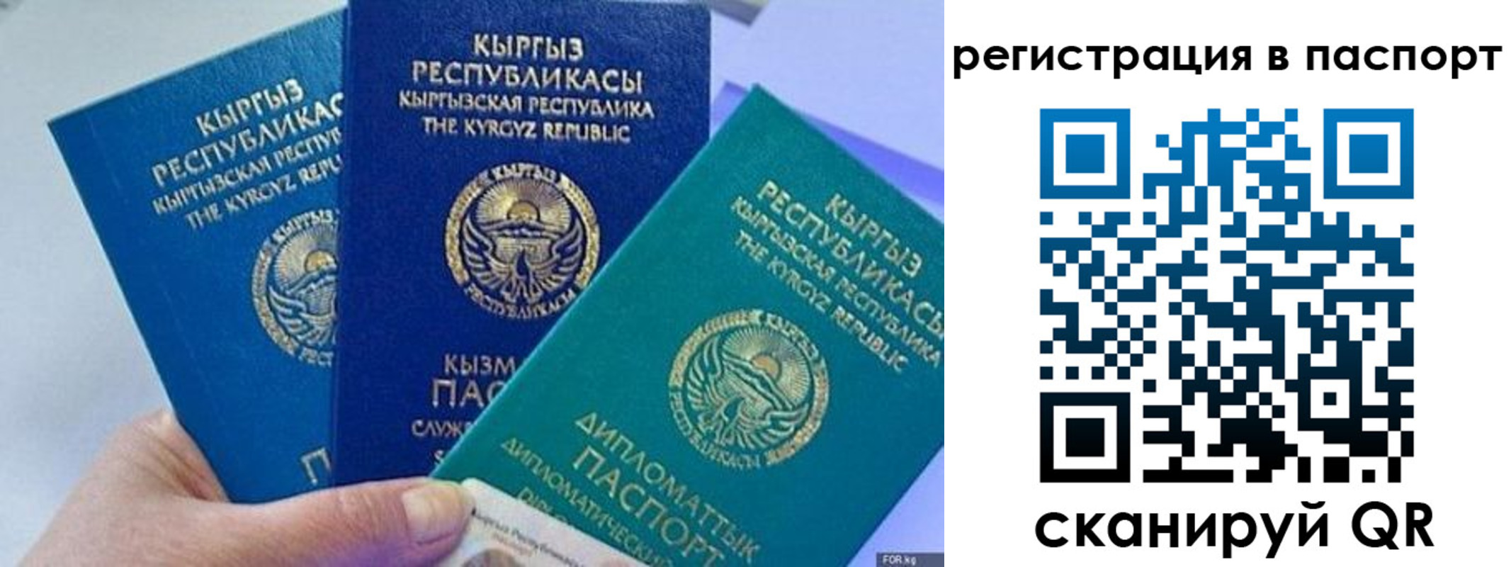 прописка 2025 в Барнауле